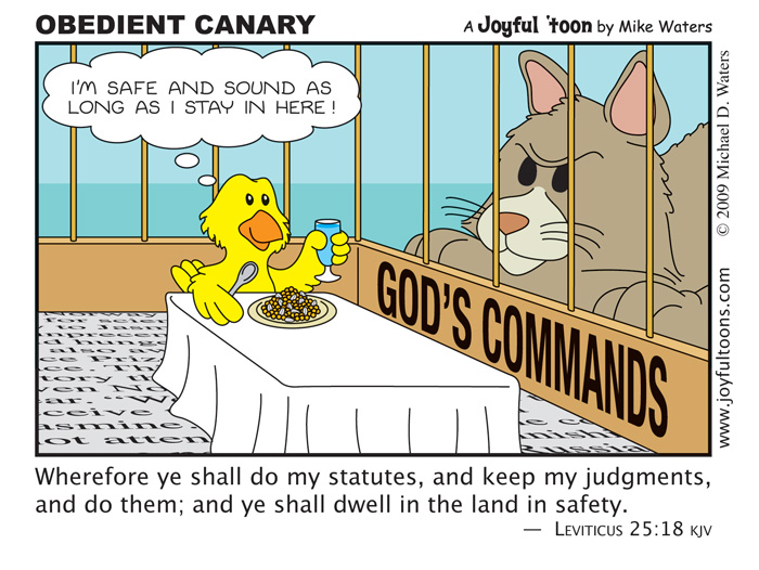 Obedient Canary - Leviticus 25:18-19
