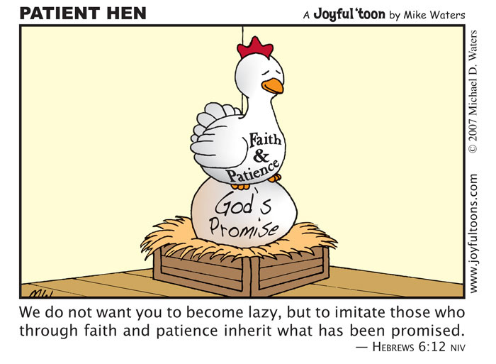 Patient Hen - Hebrews 6:12
